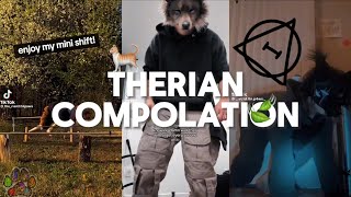 Therian/Quadrobic Compilation!|| Alterhumans of TikTok #2 ||🐈🍃🪱||