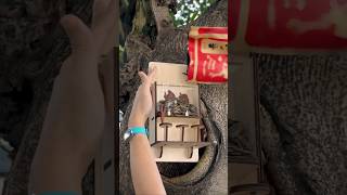 Wooden squirrel feeder made with ORTUR R2 🐿️#lasercutting #ortur #laserengraving