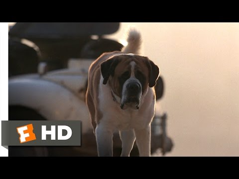 Cujo (2/8) Movie CLIP - Cujo Won't Hurt Him (1983) HD