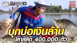 น้อง บุกบ่อเงินล้าน ปลาสลิด 400,000 ตัว | SUPER100