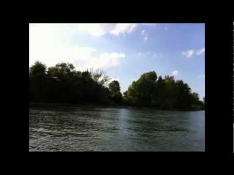 Der Rhein - attraktiv fr Fische und Angler