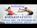 Kalaripayattu an indian art is mother of all martialarts  