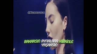 Kaktüs - Norm Ender Lyrics Edit