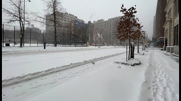mini adafruit weather report from NYC ... about 5" of snow so far !