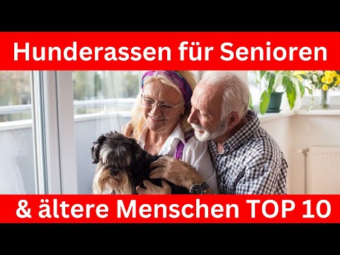 Video: 5 Hundefreundliche Aktivitäten für Senioren, damit Ihr Welpe jung bleibt