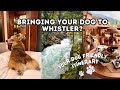 Best Dog-Friendly Activities in WHISTLER 🏔️🐾  Dog Friendly Hike | Brunch Spots | Restaurant | Hotel