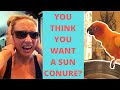 SHOULD I GET A SUN CONURE? | MY FIRST BIRD