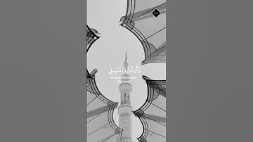فالذين هاجروا وأخرجوا من ديـٰرهم وأوذوا في سبيلي " تلاوة خاشعة #quran #ماهر_المعيقلي #تلاوات