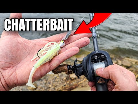 SIMPLE Chatterbait Technique Catches Spring Bass (Bank Fishing