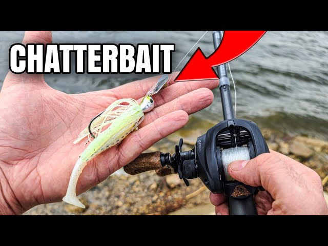 Bank Fishing with a Chatterbait (Bass Fishing Lures for Beginners) 