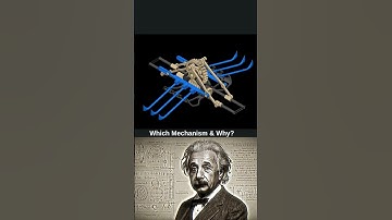 Boat Automation 😎