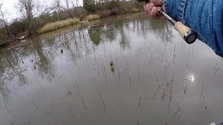 Shallow Water Bass Fishing With A Trick Worm