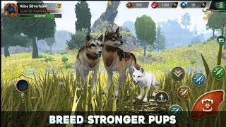 Wolf Talas- Wild Animals Sim Android graphics screenshot 5