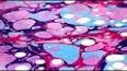 The Art of Paper Marbling ile ilgili video