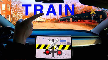 Tesla FSD Beta 10.1 With Bigger Visualizations on a Family Drive