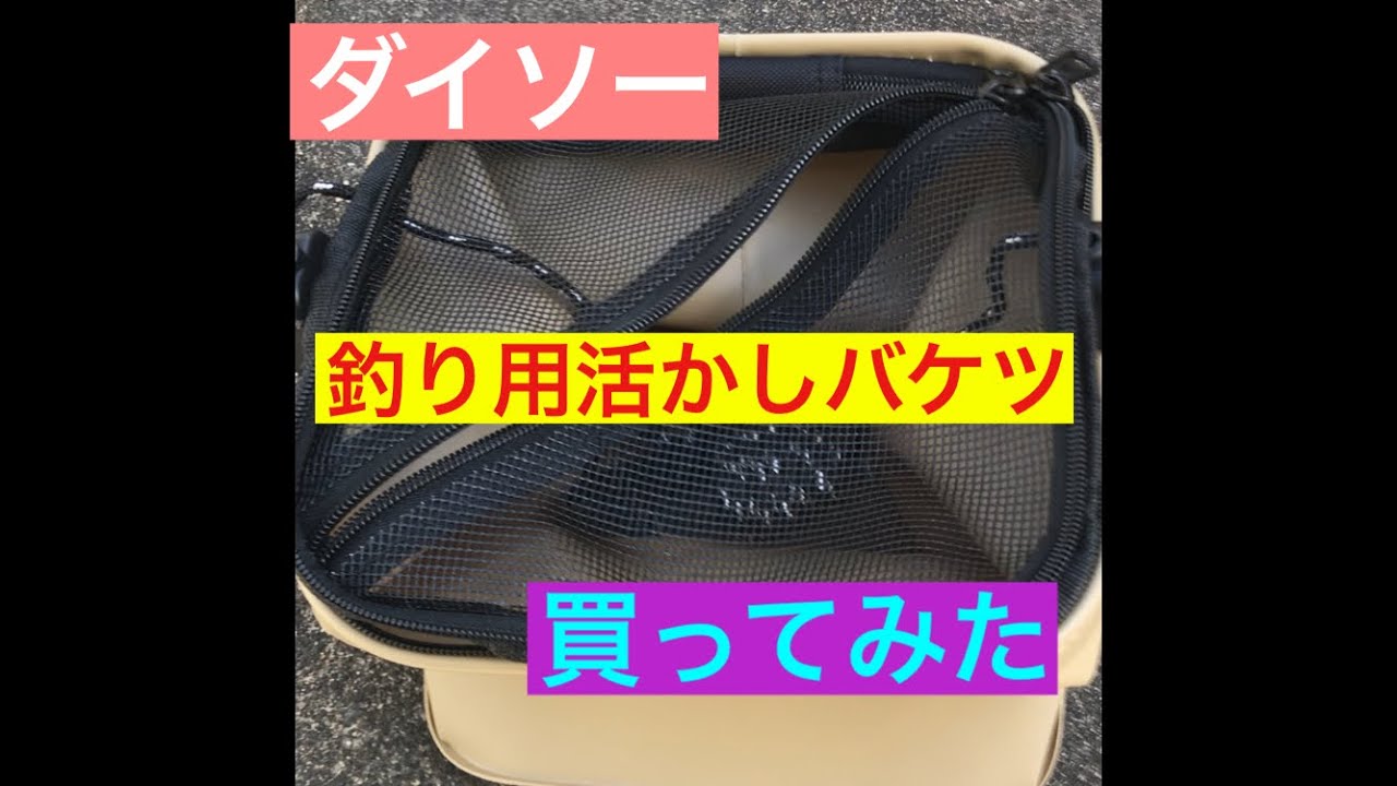 ダイソー釣り用活かしバケツを買ってみた Shorts Youtube ダイソー釣り用活かしバケツを買ってみた Shorts Youtube