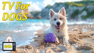 24 HOURS of Dog Calming Music For Dogs  Separation Anxiety Relief Music For Dogs