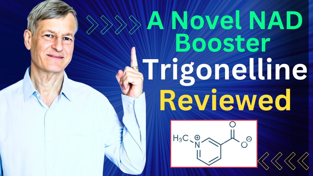 A Novel NAD Booster Trigonelline: A Review Of Benefits & Sources