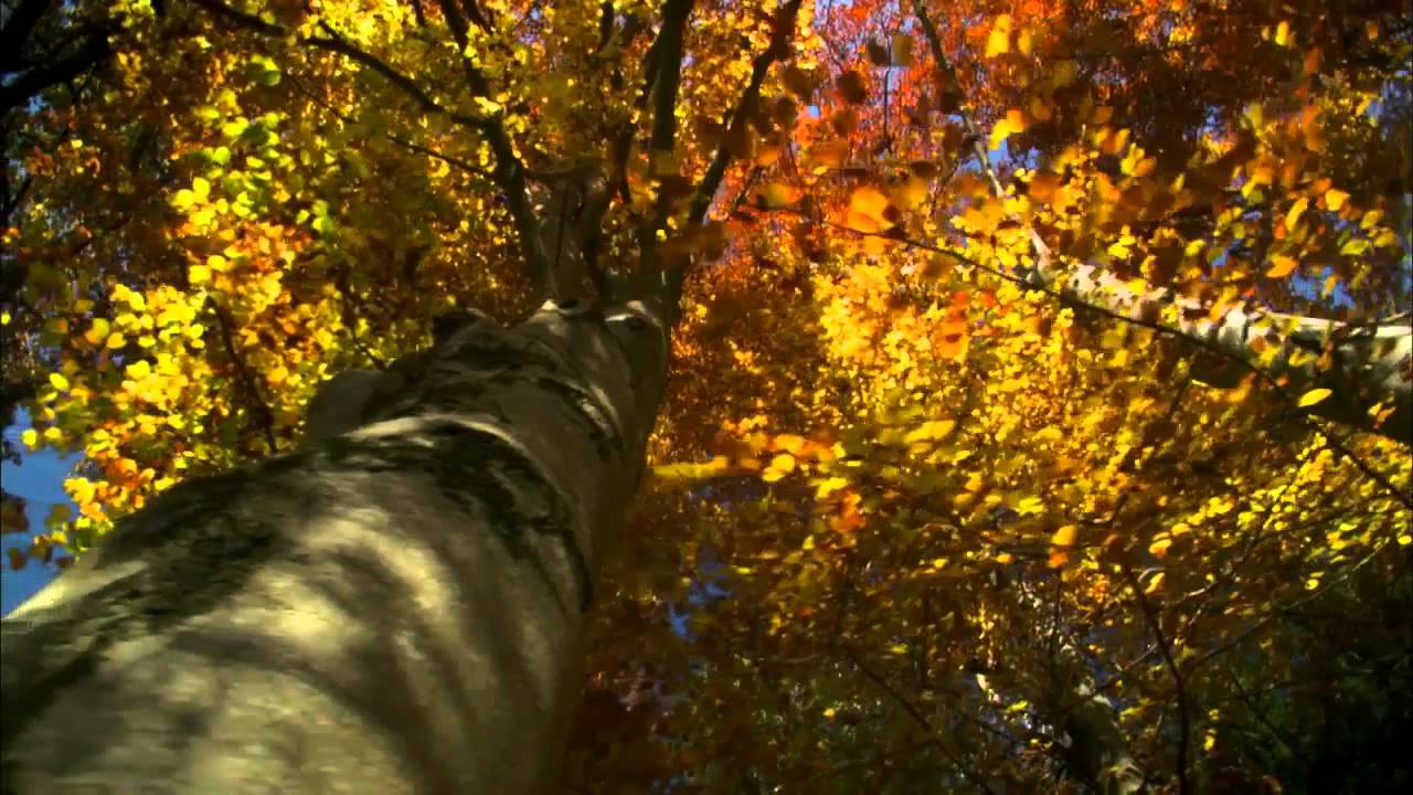 One Day On Earth Part 4 Of 4 YouTube one-day-on-earth-part-4-of-4-youtube