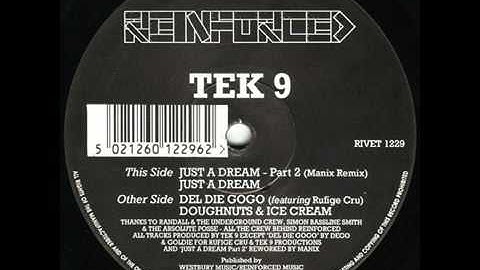 Tek 9 - Just a Dream -Reinforced - 92