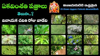 Ekavimsati Patralu Telugu | Names of 21 Leaves for Ganesh Pooja | ఏకవింశతి పత్రాలు