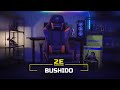 2E Gaming Chairs - BUSHIDO Series