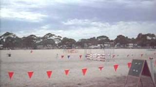 Mine and Ruby's first show-65cms
