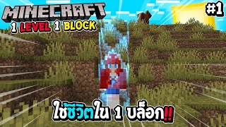 มายคราฟ 1 Level 1 Block # 1 ใช้ชีวิตใน 1 บล็อก !!