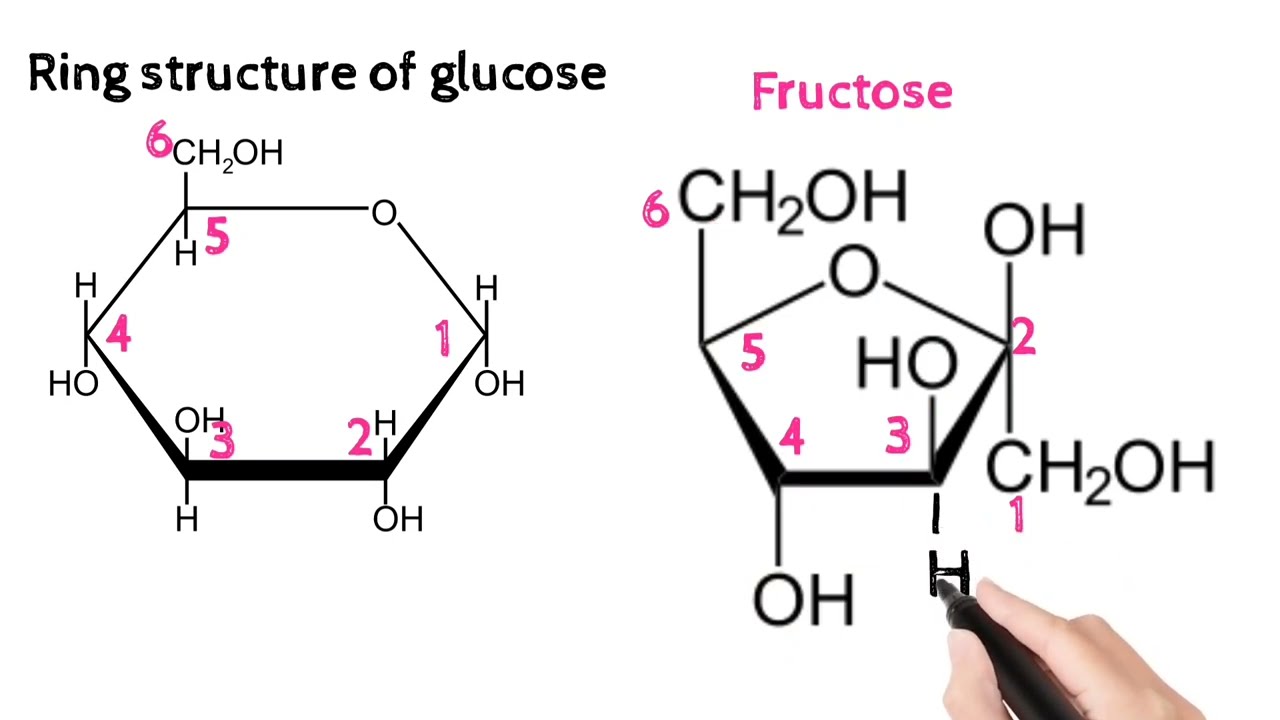 Open chain structure of Fructose . And difference between alpha and beta  rings ?