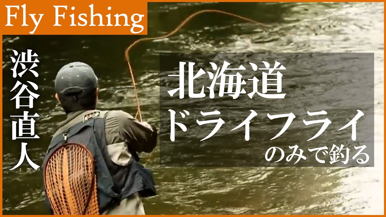 北海道の道東エリアをドライフライで攻略。夏のフライ釣行 1/2 『フライギャラリー』【釣りビジョン】