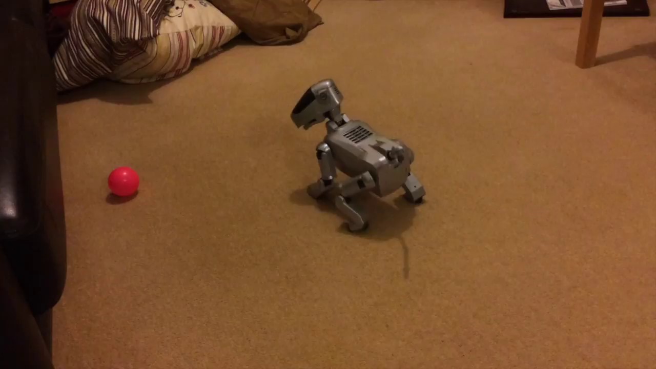 A Working AIBO 111 Robot Pet Autonomous Dog With Long Battery Life