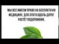 Что входит в полис ОМС. Ольга Сергеевна Захарова, специалист  по вопросам ОМС Новг. обл.