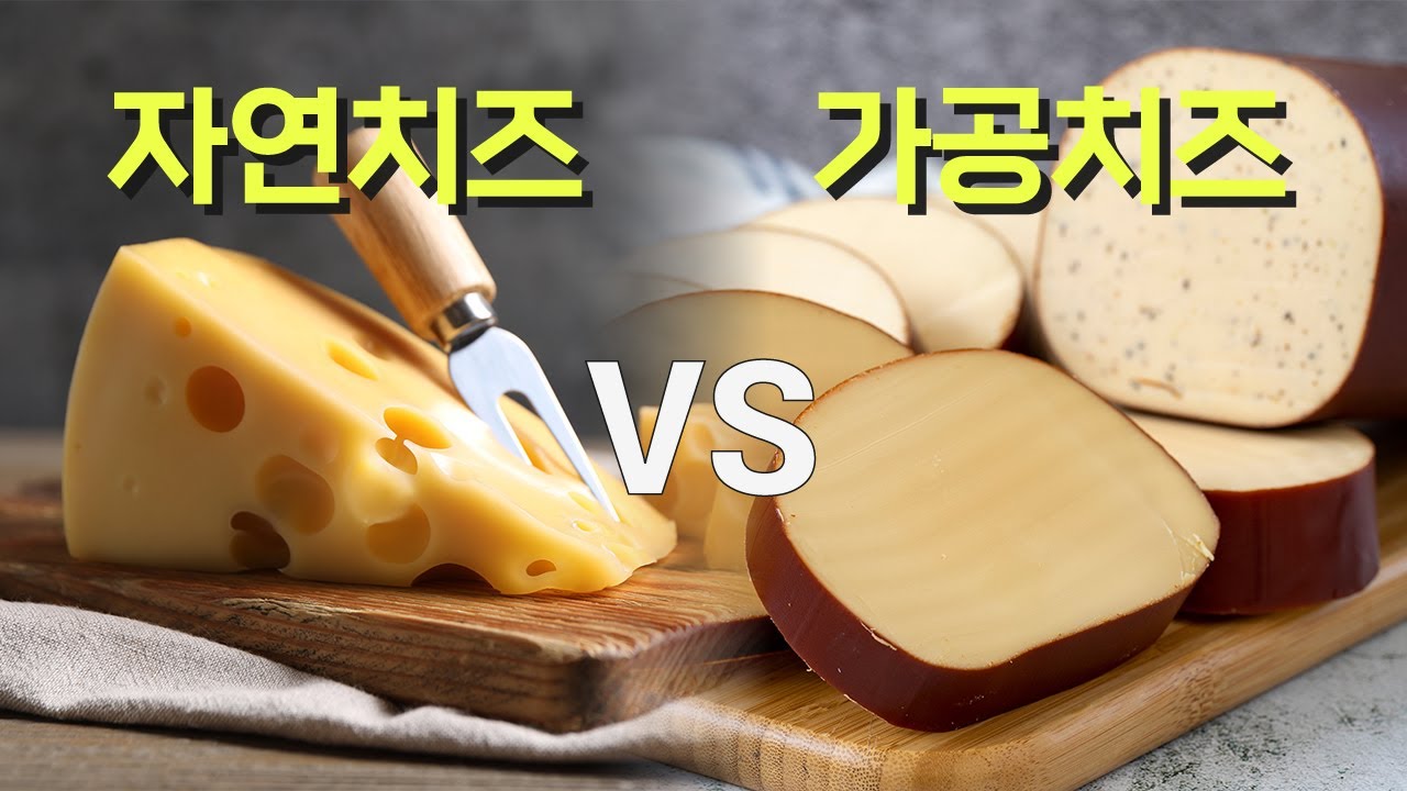자연치즈, 가공치즈, 모조치즈의 차이점 - YouTube