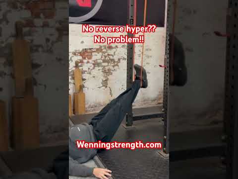 تمارين عكسية التمرين رقم 1 للحصول على أسفل ظهر قوي وخال من الألم تمارين الجيم ألم أسفل الظهر