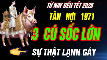SỰ THẬT LẠNH GÁY Tuổi TÂN HỢI 1971 đối diện 3 cú sốc lớn TỪ NAY đến tết 2026 CHƯA TỪNG TIẾT LỘ