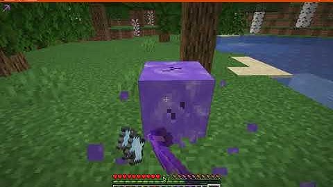 Icy 1.16.1 Fabric Mod Overview