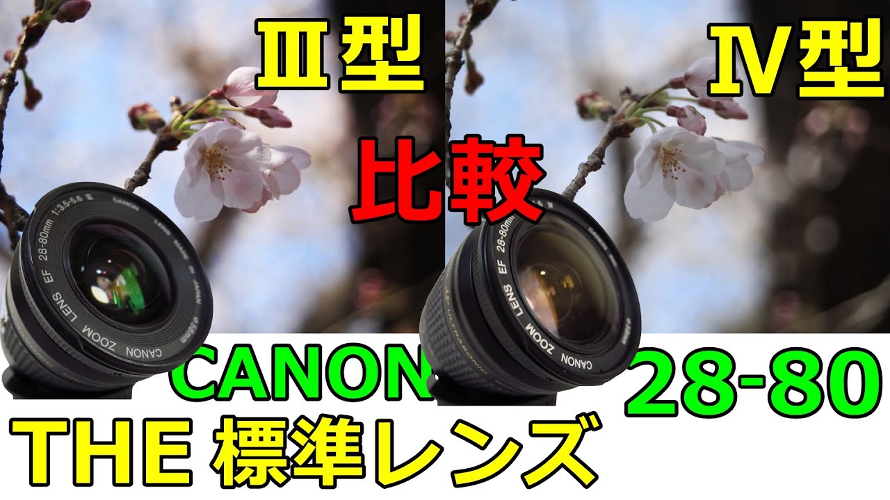 ジャンク】1100円 初めてのSTMレンズ CANON EF-S18-55mm F3.5-5.6 IS