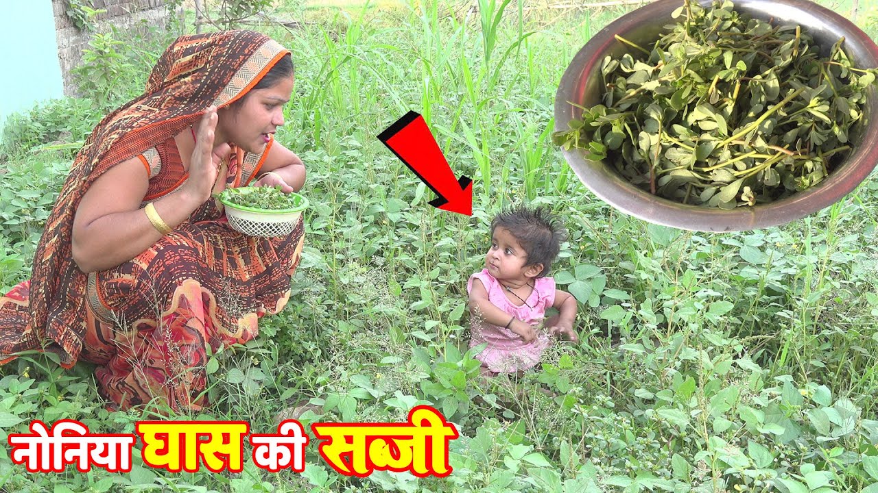 लॉकडाउन में अपने घर पर बनाइए खट्टी मीठी 🌼नोनिया घास की सब्जी। How to make Nonia vegetables