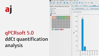 4. qPCRsoft 5.0 – ddCt quantification analysis