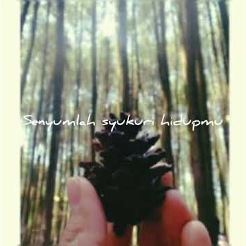 Story WA lagu terbaru Andmesh |Senyumlah