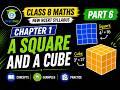 Class 8 Maths Chapter 1 | A Squares & a Cube | NCERT New Syllabus | Part 6