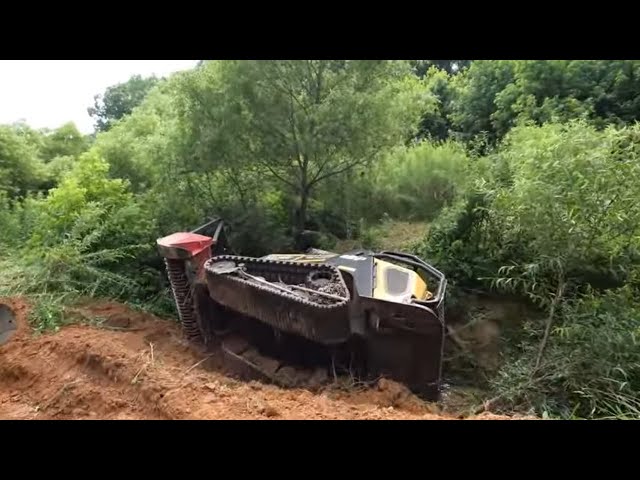 Rolled the ASV and got her stuck in a creek bed class=