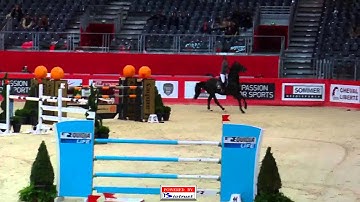 Meredith Michaels-Beerbaum - Unbelievable (Equita Lyon 2012) CSI 5* Rolex FEI World Cup Jumping