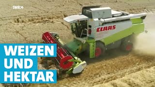 Mähdreschen - die staubige Arbeit des Landwirten