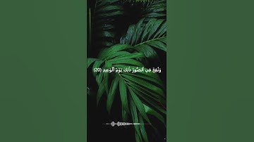 تلاوات قصيرة سورة ق | عمار الحازمي