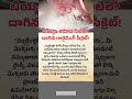 బియ్యం కడిగిన నీటిలో దాగిన గార్డెనింగ్ సీక్రెట్ #factstorytelugu #naturalfertilizers #ricewater