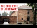 The Oubliette Of Auschwitz - HORRIFIC Standing Cells