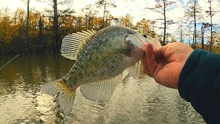 'Fishing a different lake for fall crappie' Crappie fishing by Fish Yanker 3,313 views 5 months ago 11 minutes, 59 seconds