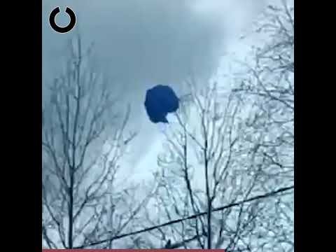 В Новой Москве беспилотник застрял на дереве