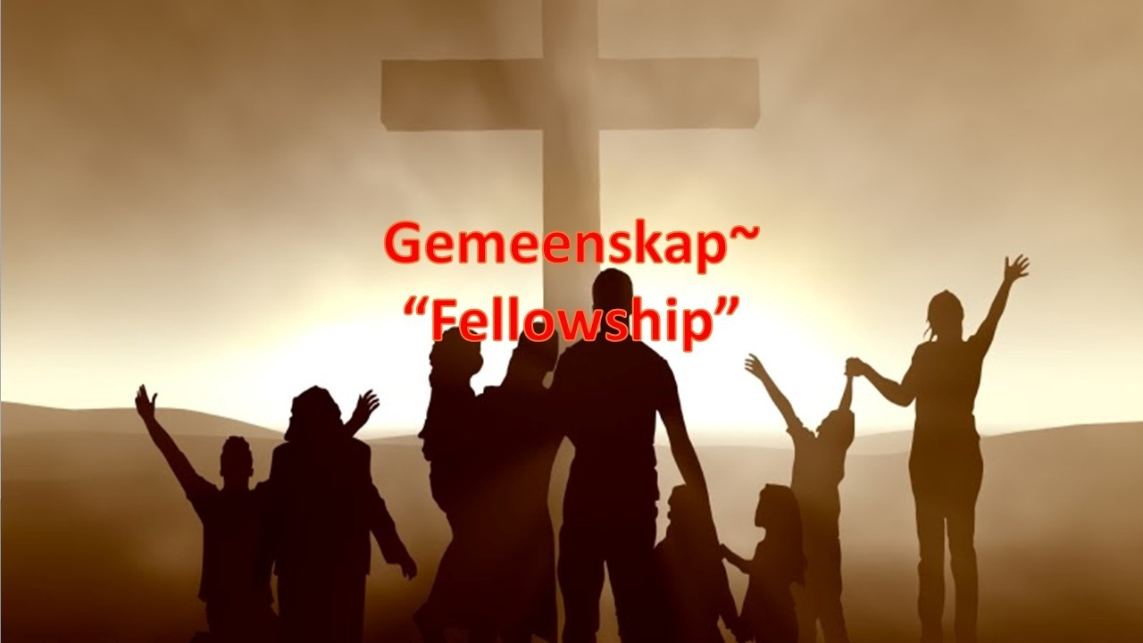 Staan saam: Die krag van Gemeenskap